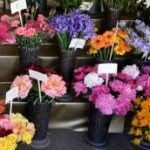 Flower stall market trader