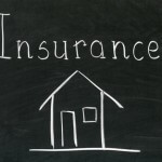 insurance wording